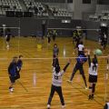 あさきたふれあいソフトバレーボール交流大会参加者募集‼