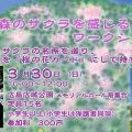 大塚の森でサクラを楽しむ２０２５　　　　    　〔二部〕大塚の森のサクラを感じるワークショップ　3月３０日　