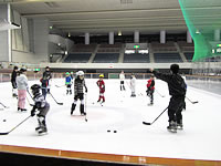 チャレンジ！アイスホッケー